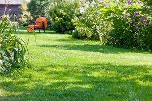 travaux jardin et paysage Xermamenil